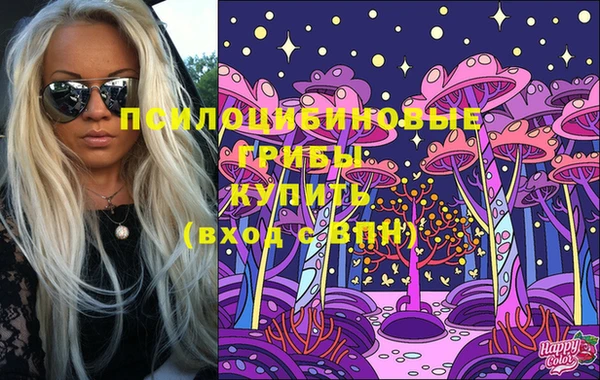 ECSTASY Пересвет