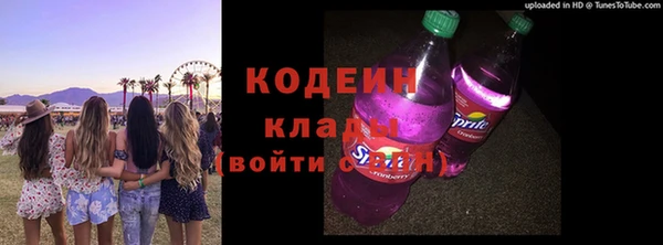 2c-b Пестово