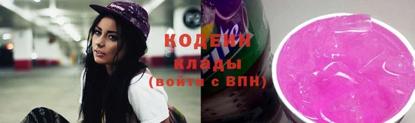 2c-b Пестово
