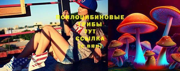 2c-b Пестово