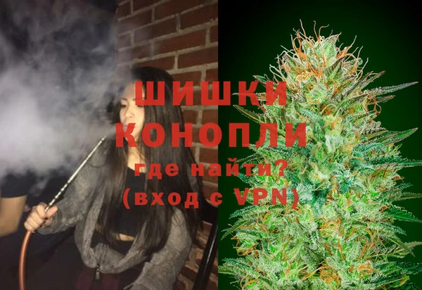 PSILOCYBIN Абинск