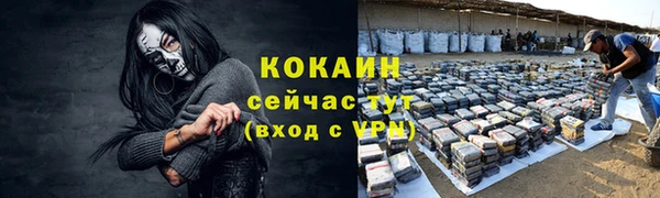 мяу мяу мука Переславль-Залесский