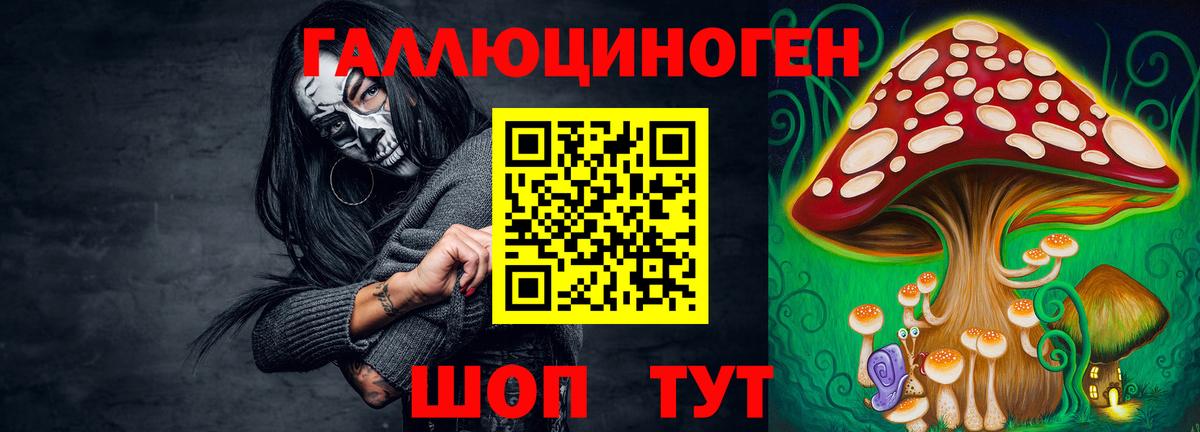 Галлюциногенные грибы Psilocybe Луга