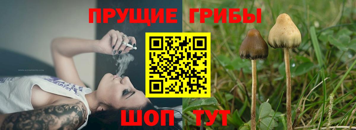 Псилоцибиновые грибы Magic Shrooms  Вход с VPN  Луга 